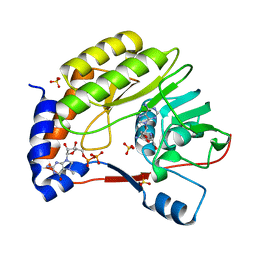 BU of 3emd by Molmil