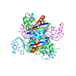 BU of 3emt by Molmil