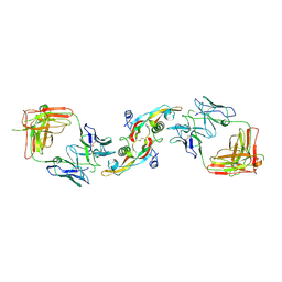 BU of 3eo1 by Molmil