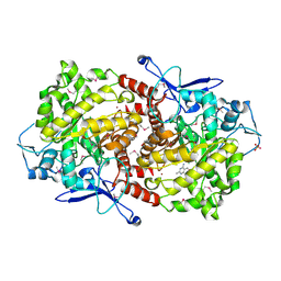 BU of 3epm by Molmil