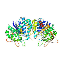 BU of 3epx by Molmil