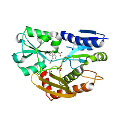 BU of 3eq1 by Molmil