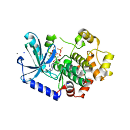 BU of 3eqc by Molmil