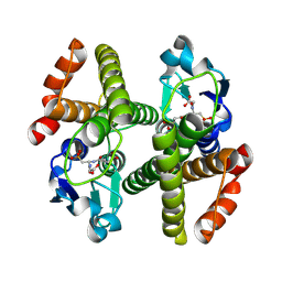 BU of 3erg by Molmil