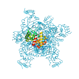 BU of 3erp by Molmil