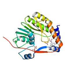 BU of 3evf by Molmil