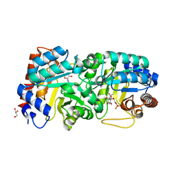 AU of 3ex0 by Molmil