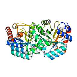 AU of 3ex5 by Molmil