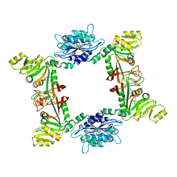 BU of 3ex8 by Molmil