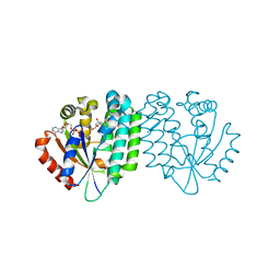 AU of 3exk by Molmil