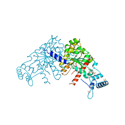 BU of 3ezf by Molmil