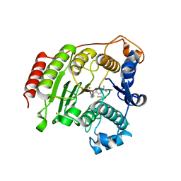 BU of 3ezp by Molmil