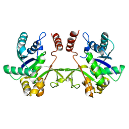 BU of 3f1c by Molmil