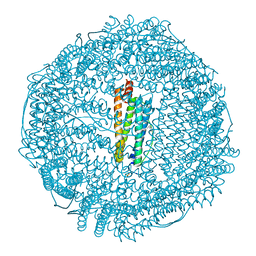 BU of 3f33 by Molmil