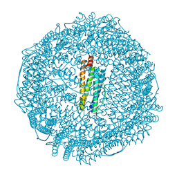 BU of 3f37 by Molmil