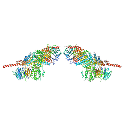 BU of 3f3g by Molmil