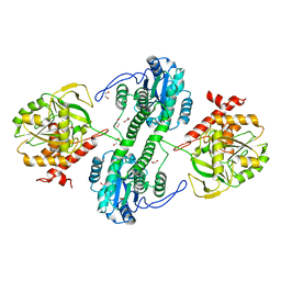 BU of 3f41 by Molmil