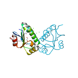 BU of 3f43 by Molmil