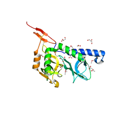 BU of 3f53 by Molmil