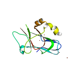 BU of 3f59 by Molmil