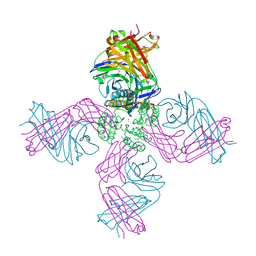 BU of 3f5w by Molmil