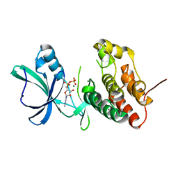 BU of 3f61 by Molmil