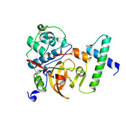 BU of 3f75 by Molmil