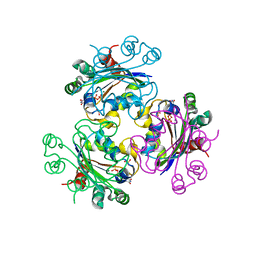 BU of 3fbc by Molmil