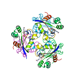 BU of 3fbe by Molmil