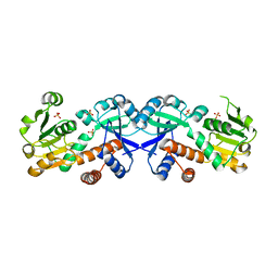 BU of 3fbt by Molmil