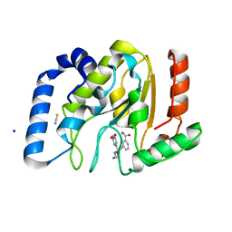 BU of 3fci by Molmil