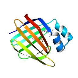 BU of 3fep by Molmil