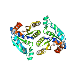 BU of 3fgn by Molmil