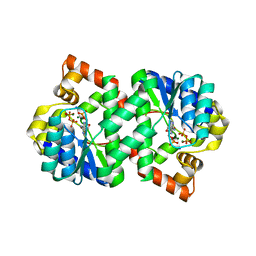 BU of 3fiu by Molmil