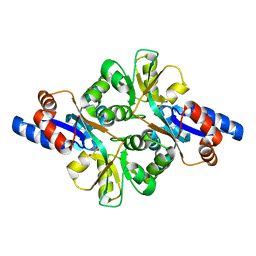 BU of 3fjg by Molmil