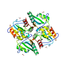 BU of 3fkf by Molmil