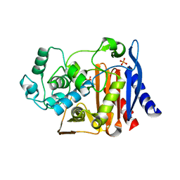 BU of 3fkw by Molmil