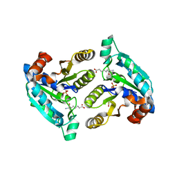 BU of 3fmi by Molmil