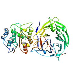 BU of 3fmo by Molmil