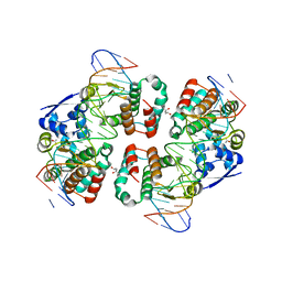 AU of 3fmt by Molmil