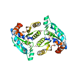 BU of 3fpa by Molmil