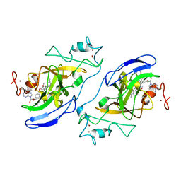 BU of 3fpd by Molmil