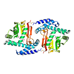 BU of 3fpe by Molmil