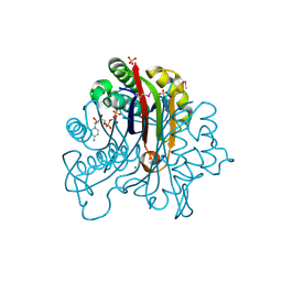 BU of 3fpi by Molmil