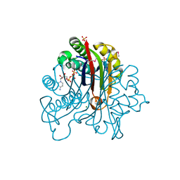 BU of 3fpi by Molmil