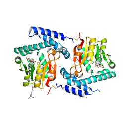 BU of 3fpj by Molmil