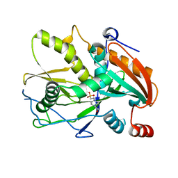 AU of 3fqi by Molmil