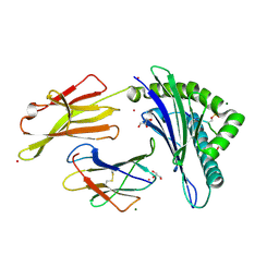 BU of 3fqx by Molmil