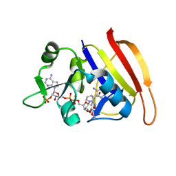 BU of 3frb by Molmil