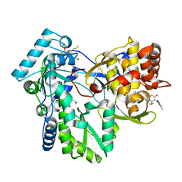 Search by PDB author - Protein Data Bank Japan